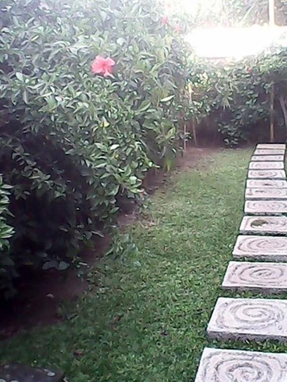 Bali Sari Homestay อาเม็ด ภายนอก รูปภาพ