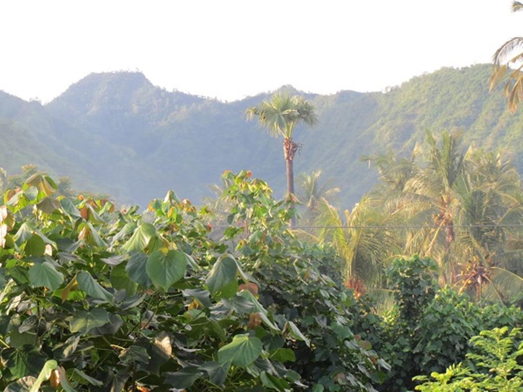 Bali Sari Homestay อาเม็ด ภายนอก รูปภาพ